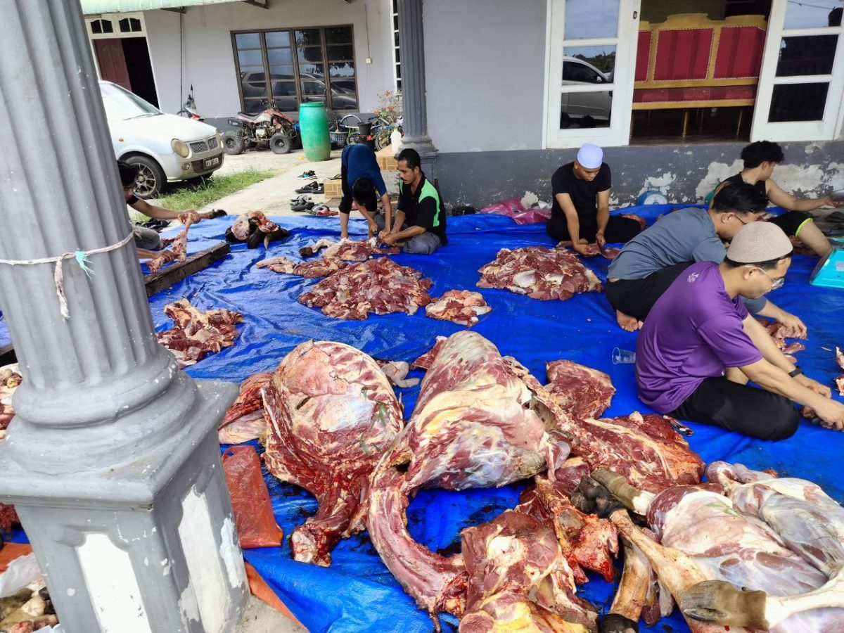 photo 2025-04-24 15-36-45