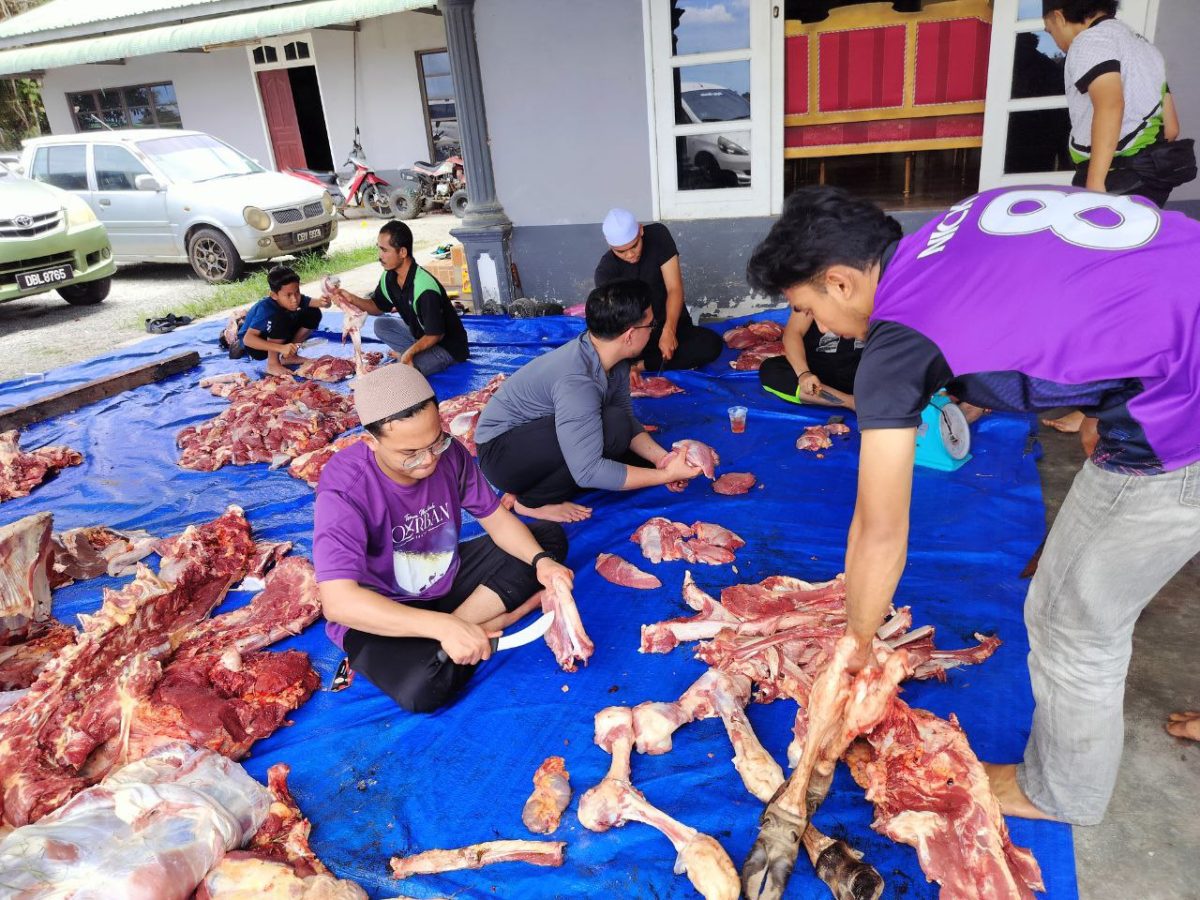 photo 2025-04-24 15-36-48