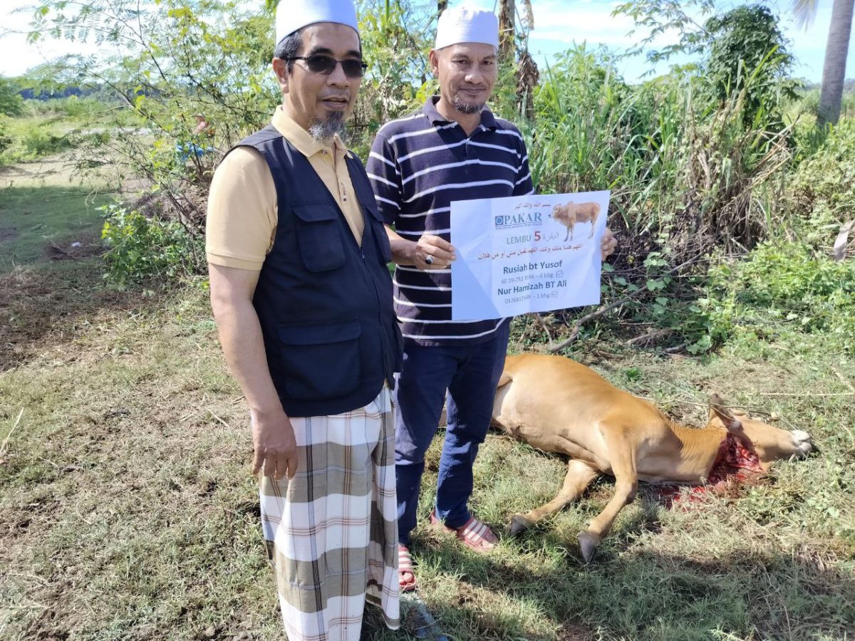 photo 2025-04-24 15-36-52