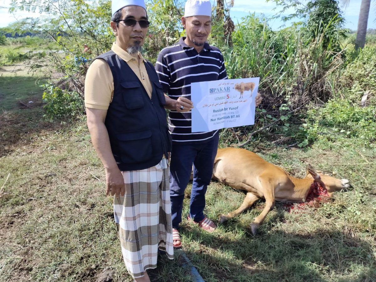 photo 2025-04-24 15-37-05