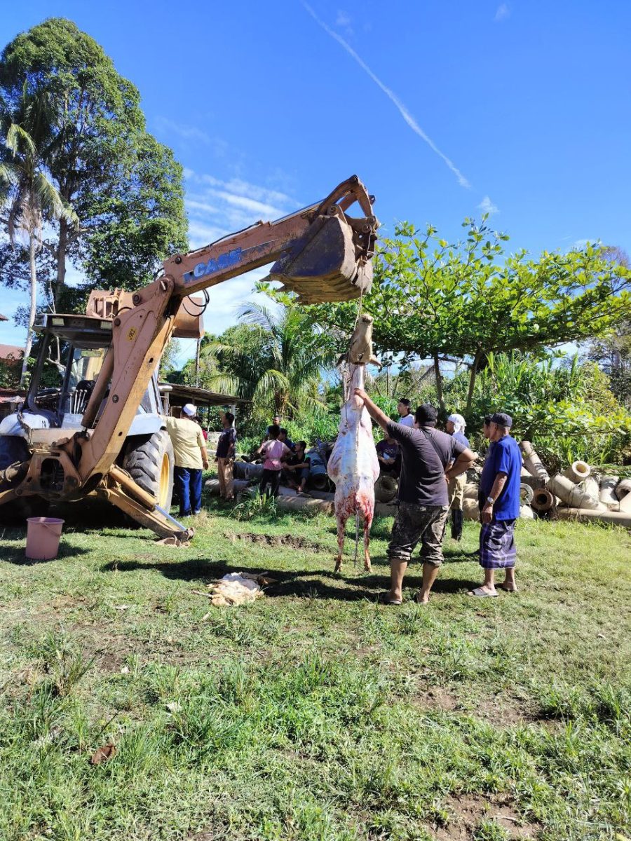 photo 2025-04-24 15-37-14