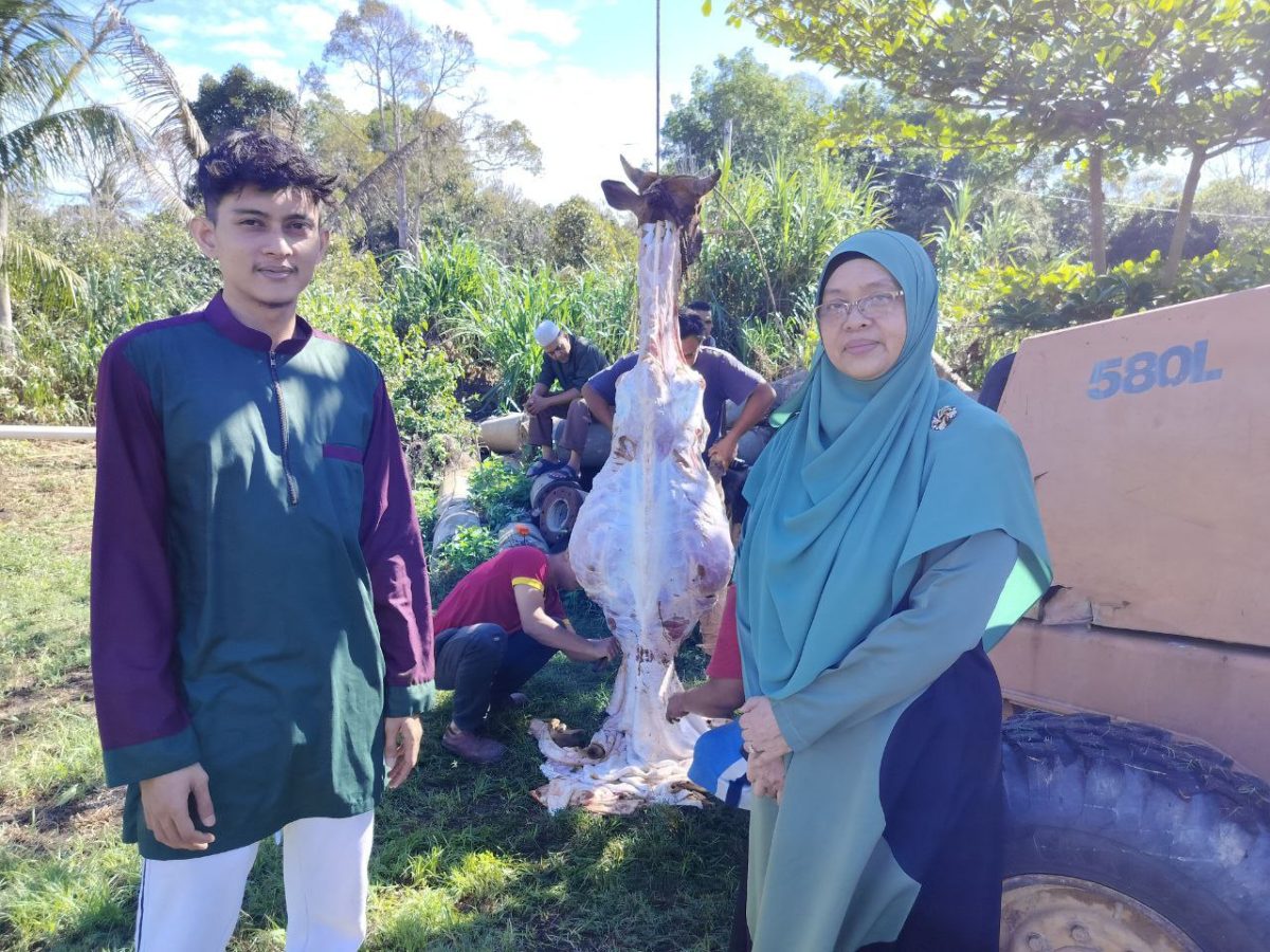 photo 2025-04-24 15-37-26