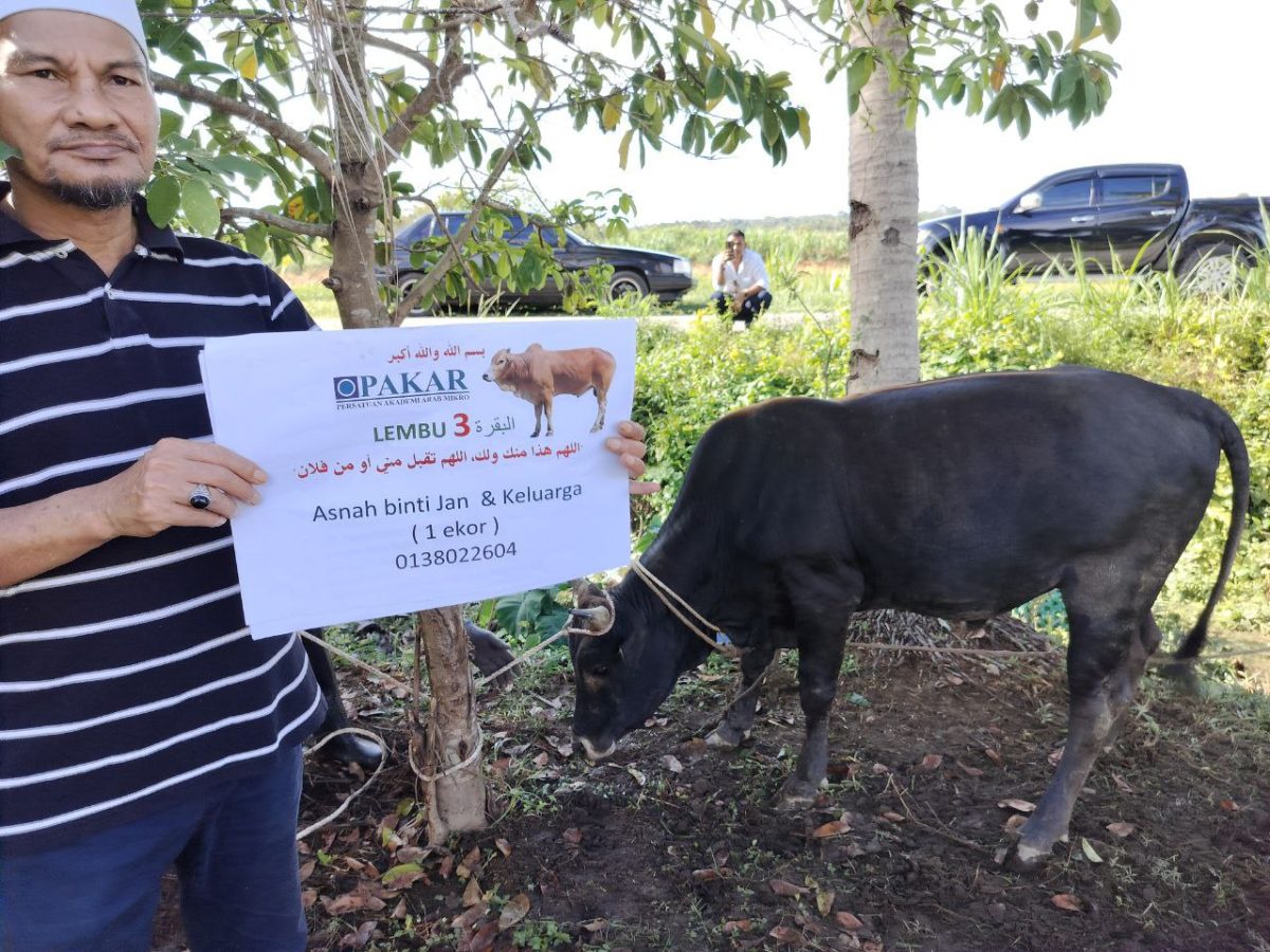 photo 2025-04-24 15-37-42